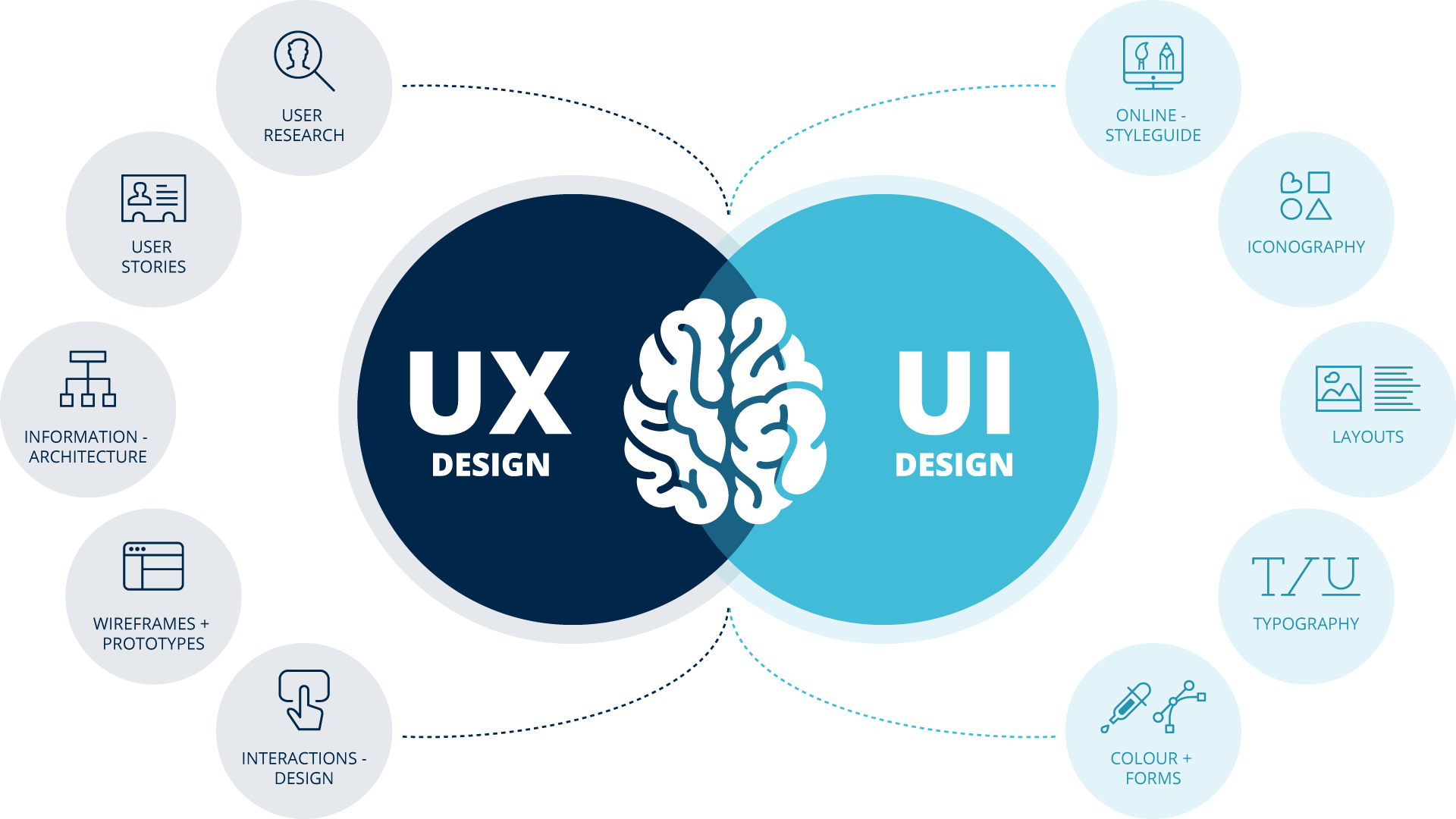 UI & UX